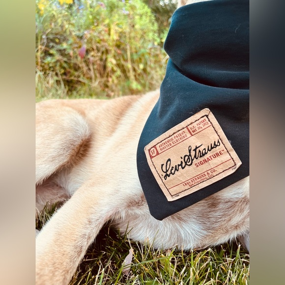 17.75” Levi’s Dog Bandana, Levi Strauss, Levi Jeans, Repurposed Levi Strauss - Picture 4 of 10